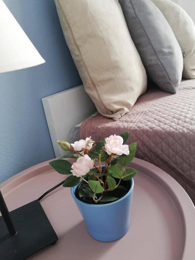 The Rose Apartment Volos Ngoại thất bức ảnh